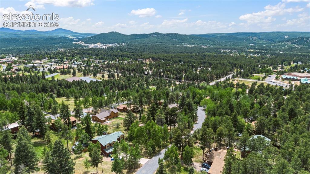 1241 Forest Edge Road