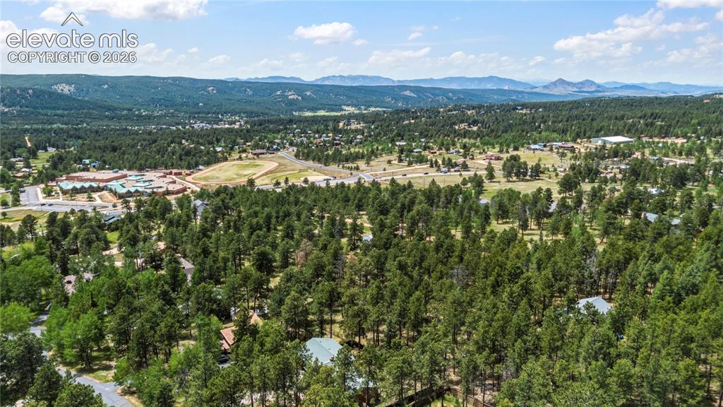 1241 Forest Edge Road