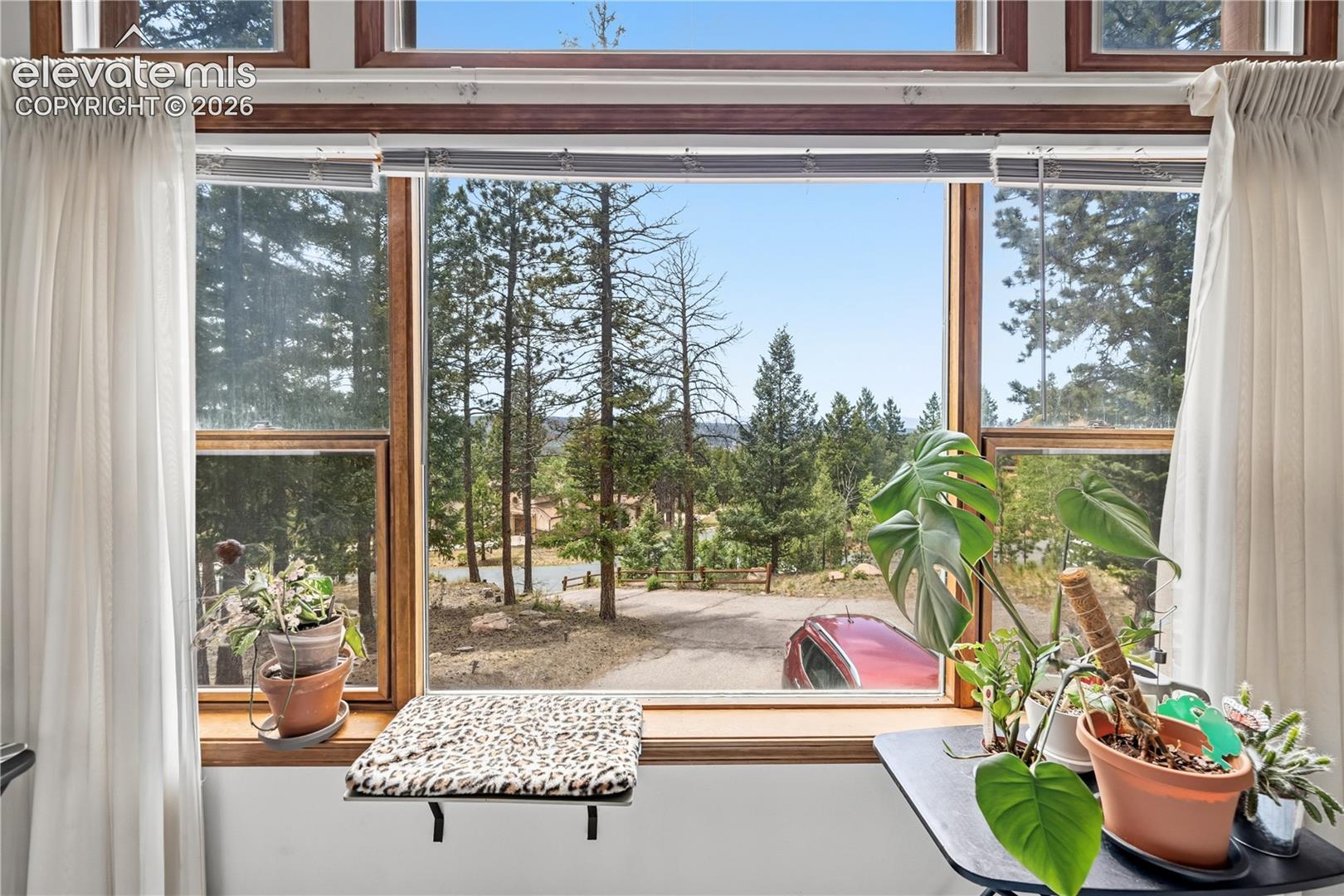 1241 Forest Edge Road