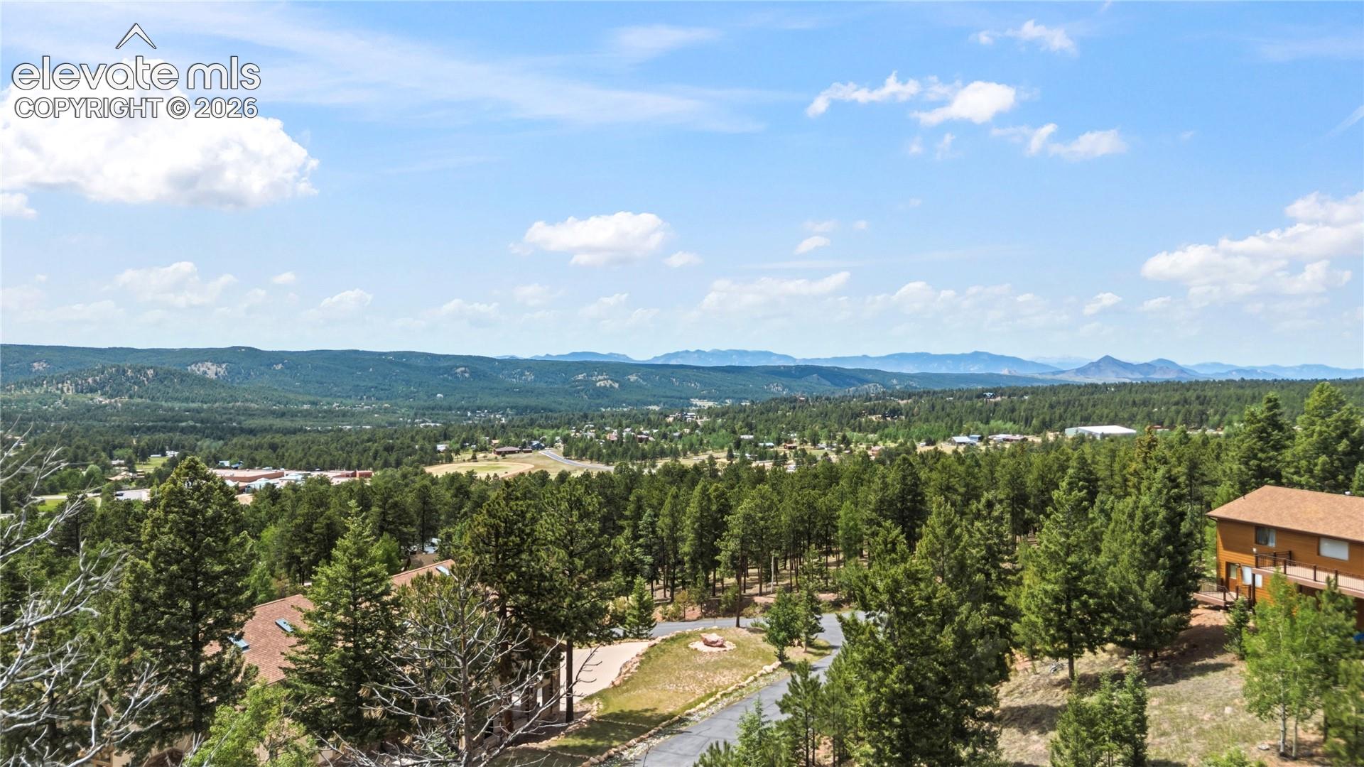 1241 Forest Edge Road