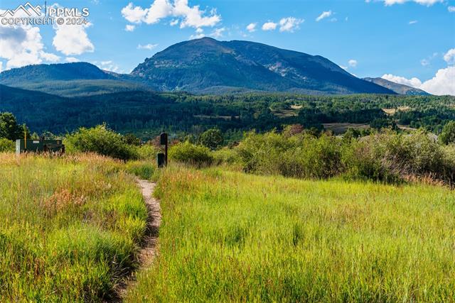 912 Meadow Creek Drive