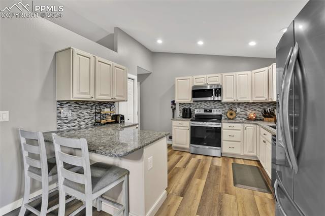 1251 S Silverado Drive