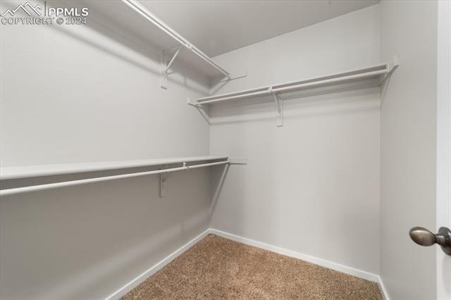 1433 Flycatcher Lane