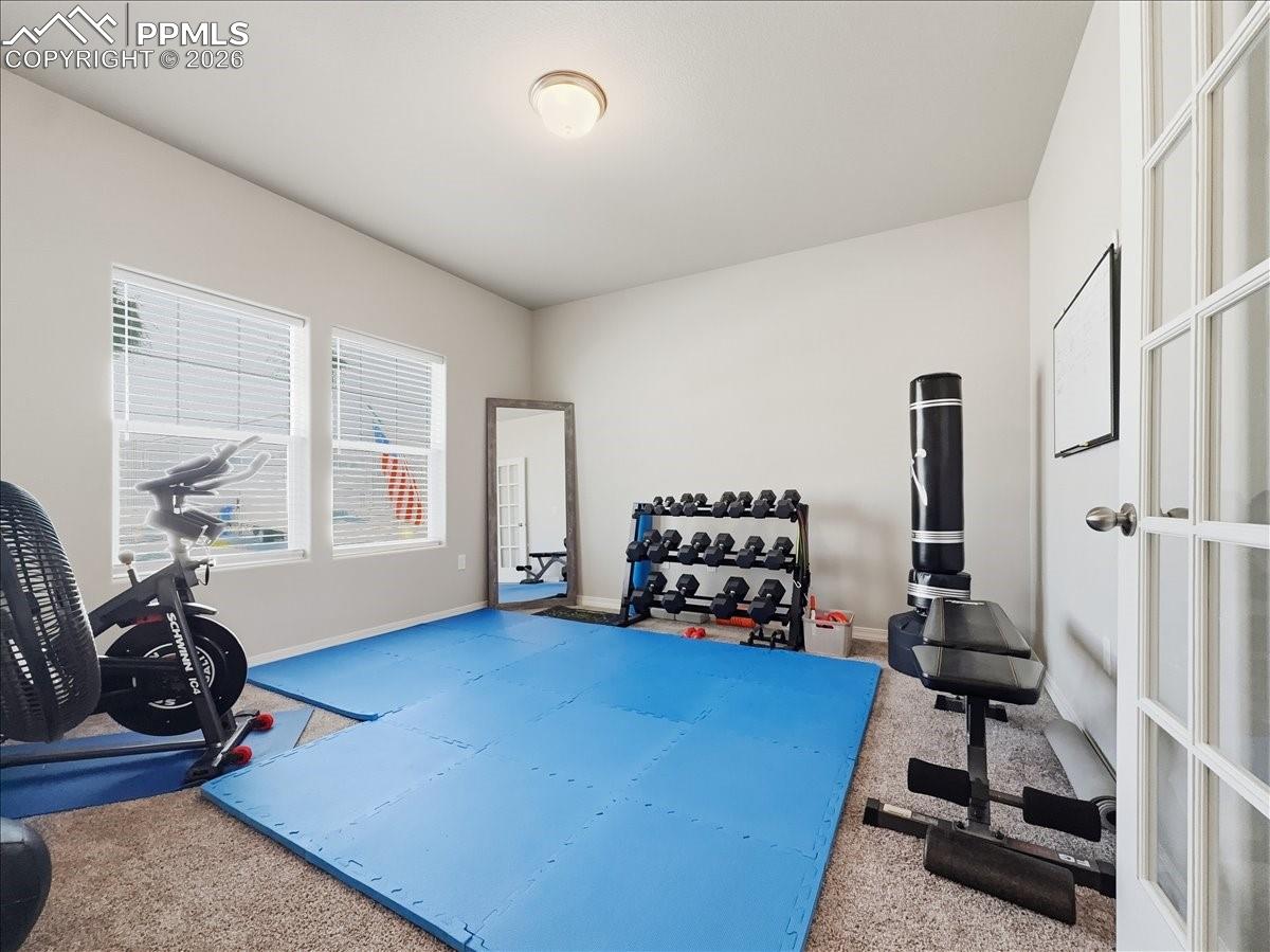4622 Amazonite Drive