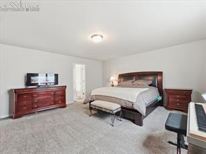 4622 Amazonite Drive