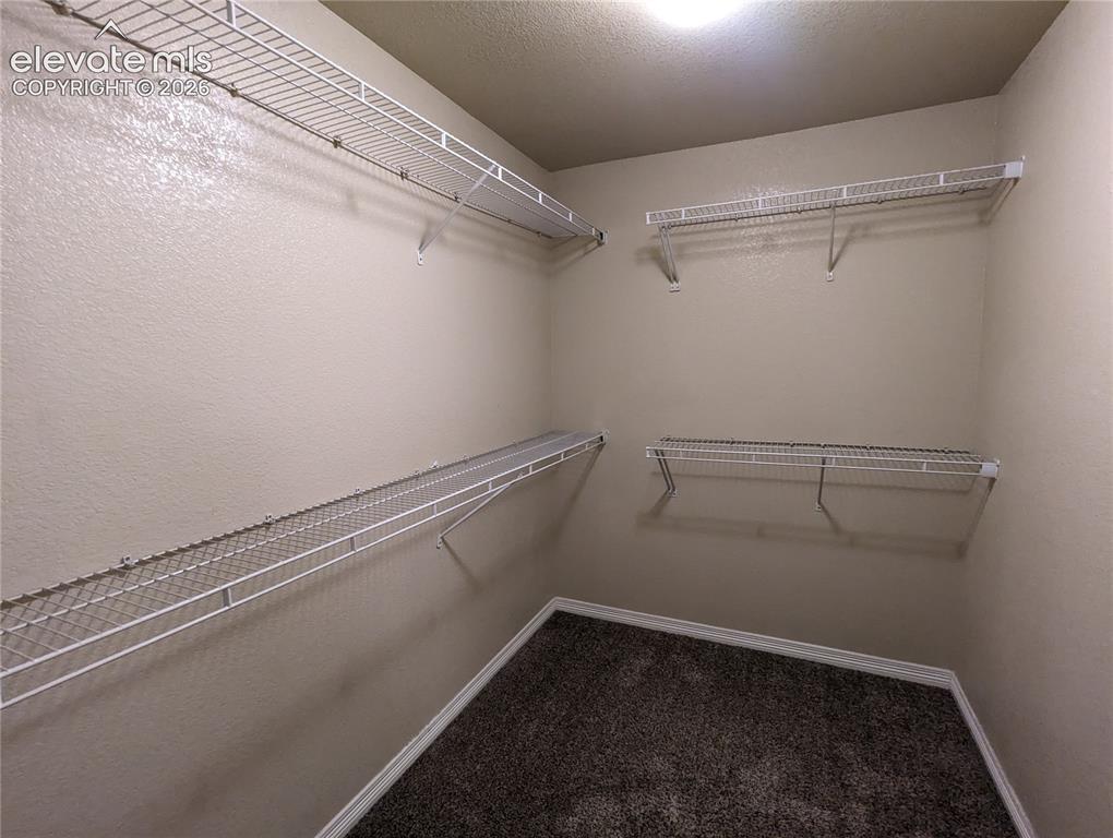 7502 Araia Drive
