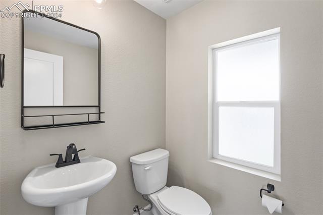 10054 Poppy Mallow Point