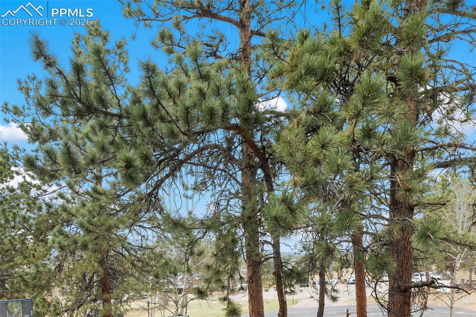 560 Manor Court Unit: C