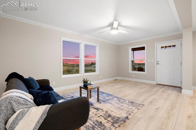 503 E Fredonia Drive