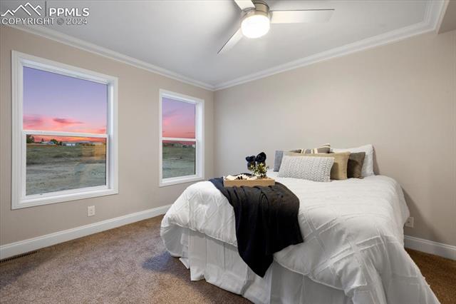 503 E Fredonia Drive