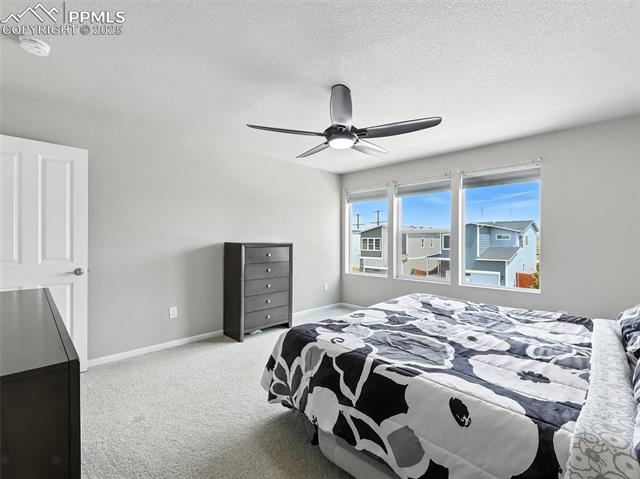 11479 Sanderling Street