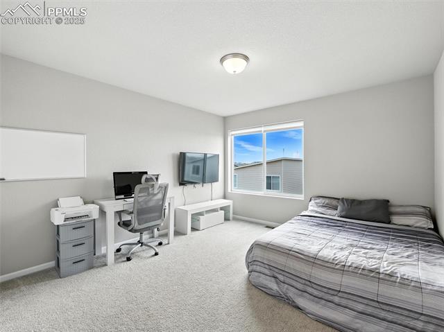 11479 Sanderling Street