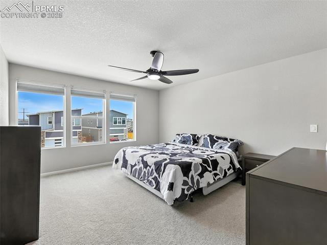 11479 Sanderling Street