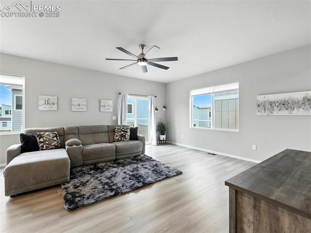 11479 Sanderling Street