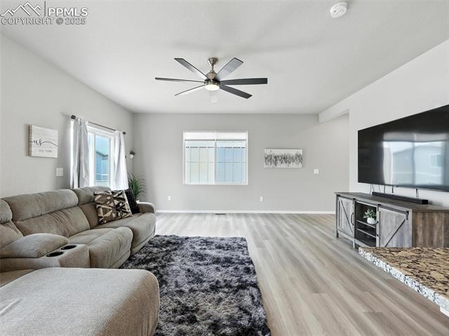 11479 Sanderling Street