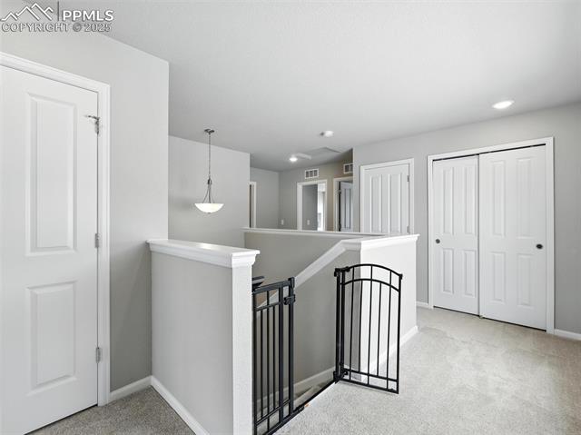 11479 Sanderling Street