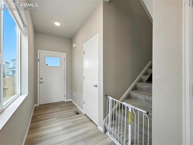 11479 Sanderling Street