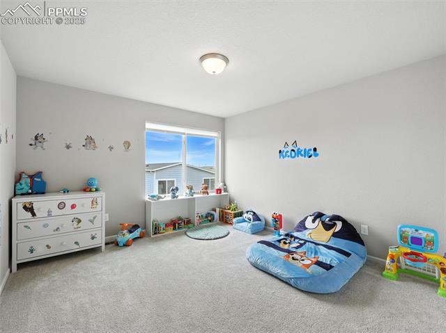 11479 Sanderling Street