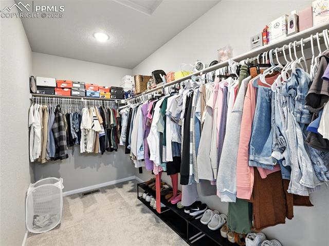 11479 Sanderling Street