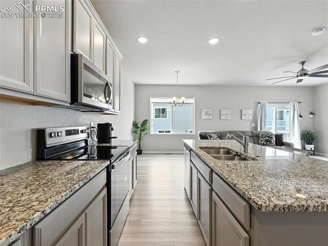 11479 Sanderling Street