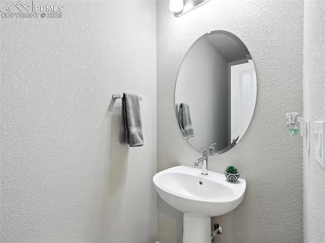 11479 Sanderling Street