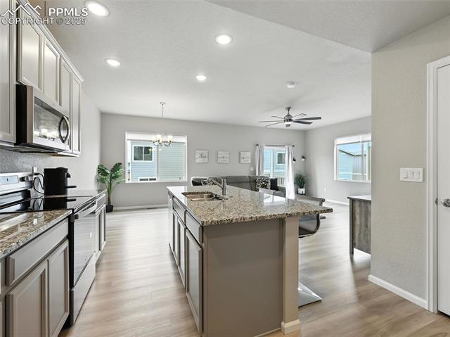 11479 Sanderling Street