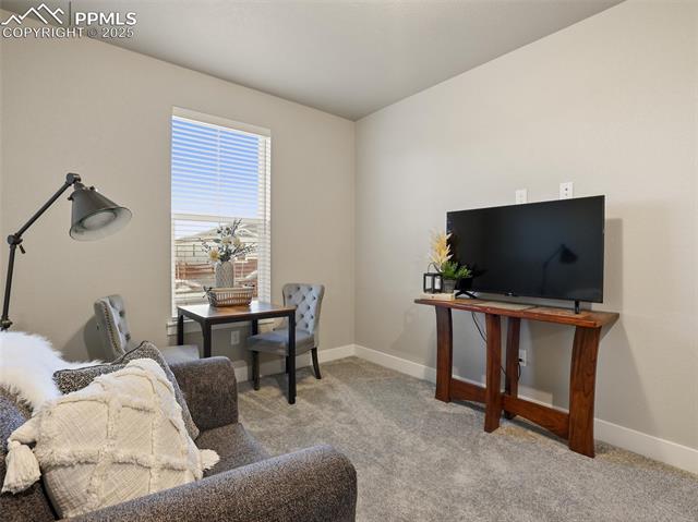 16015 Mountain Flax Drive