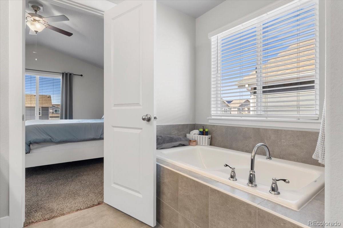 3162 Namib Drive
