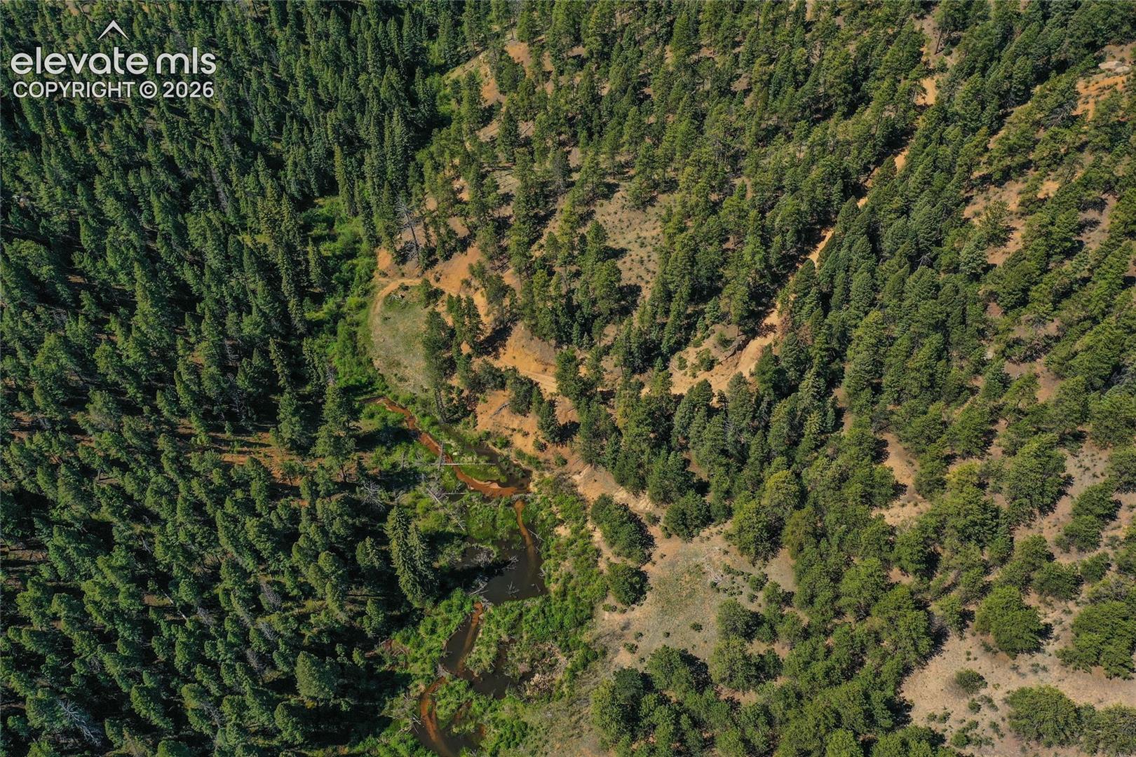 29545 Highway 67