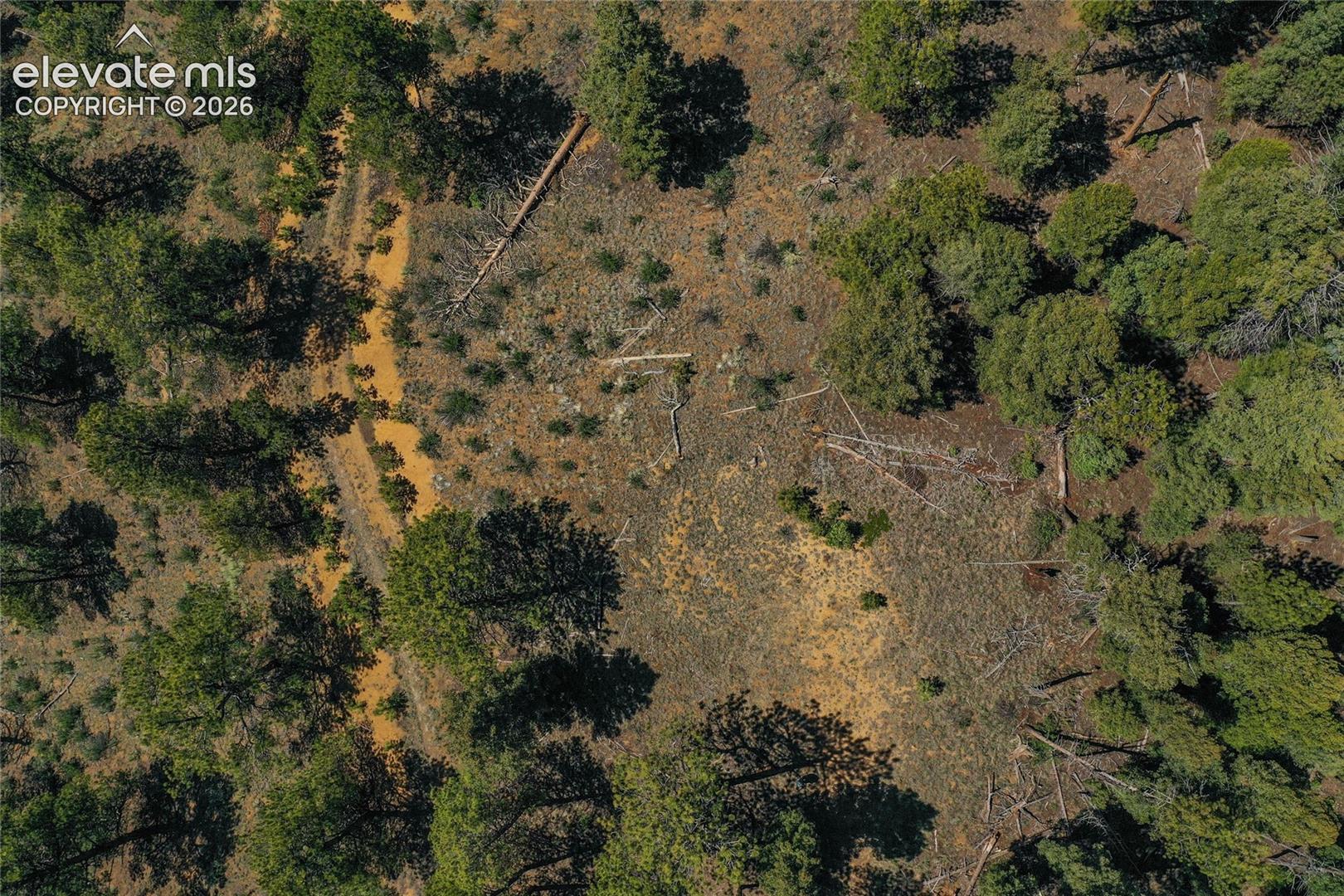 29545 Highway 67