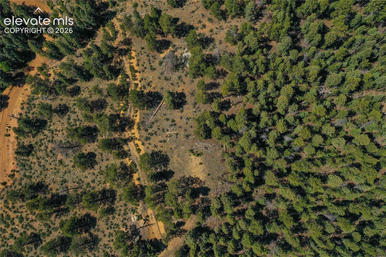 29545 Highway 67