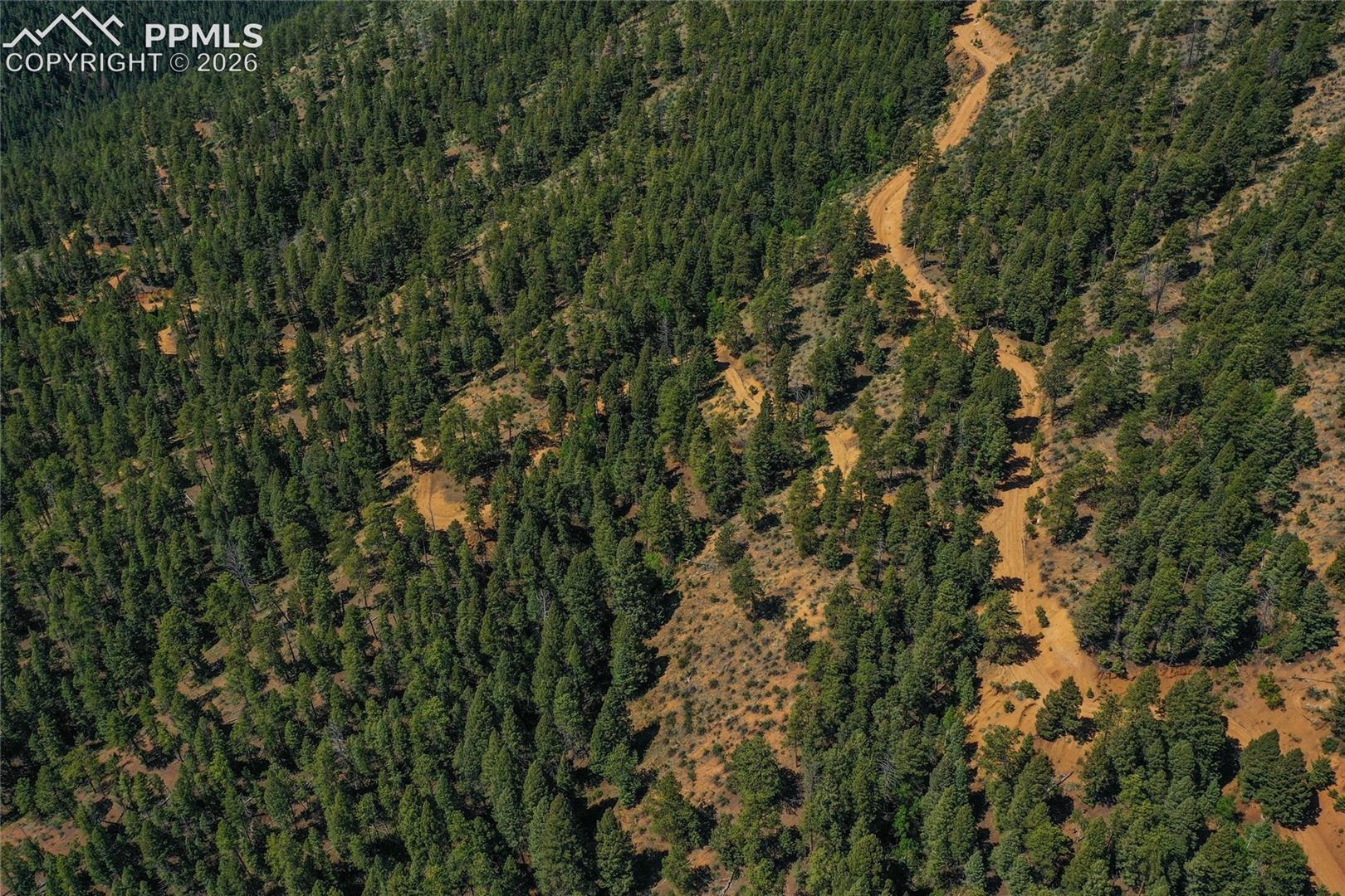 29545 Highway 67
