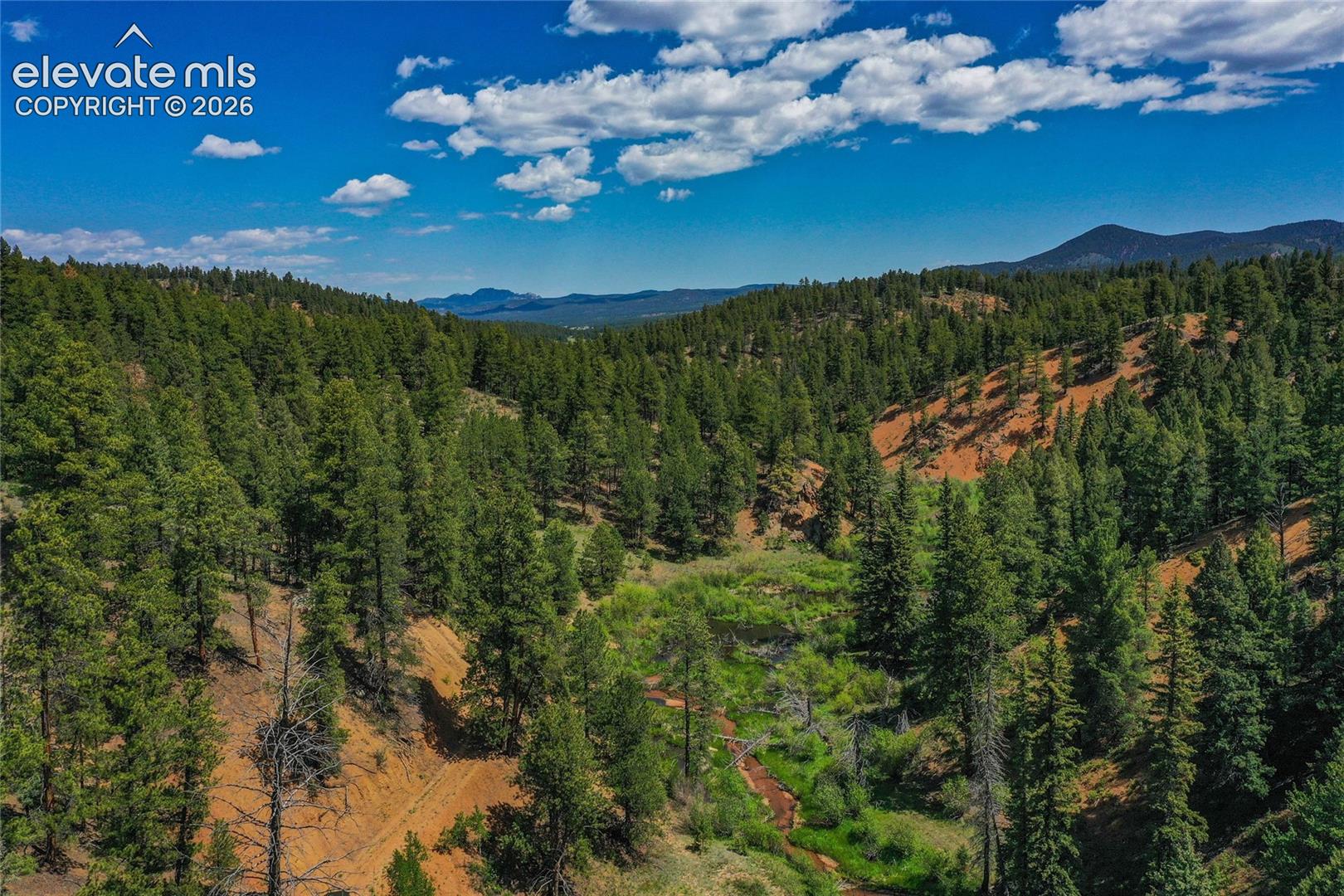 29545 Highway 67