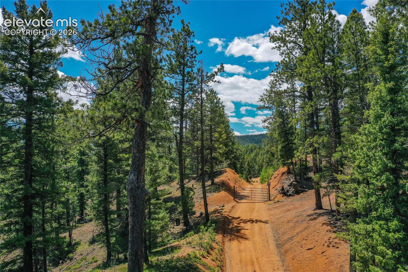 29545 Highway 67