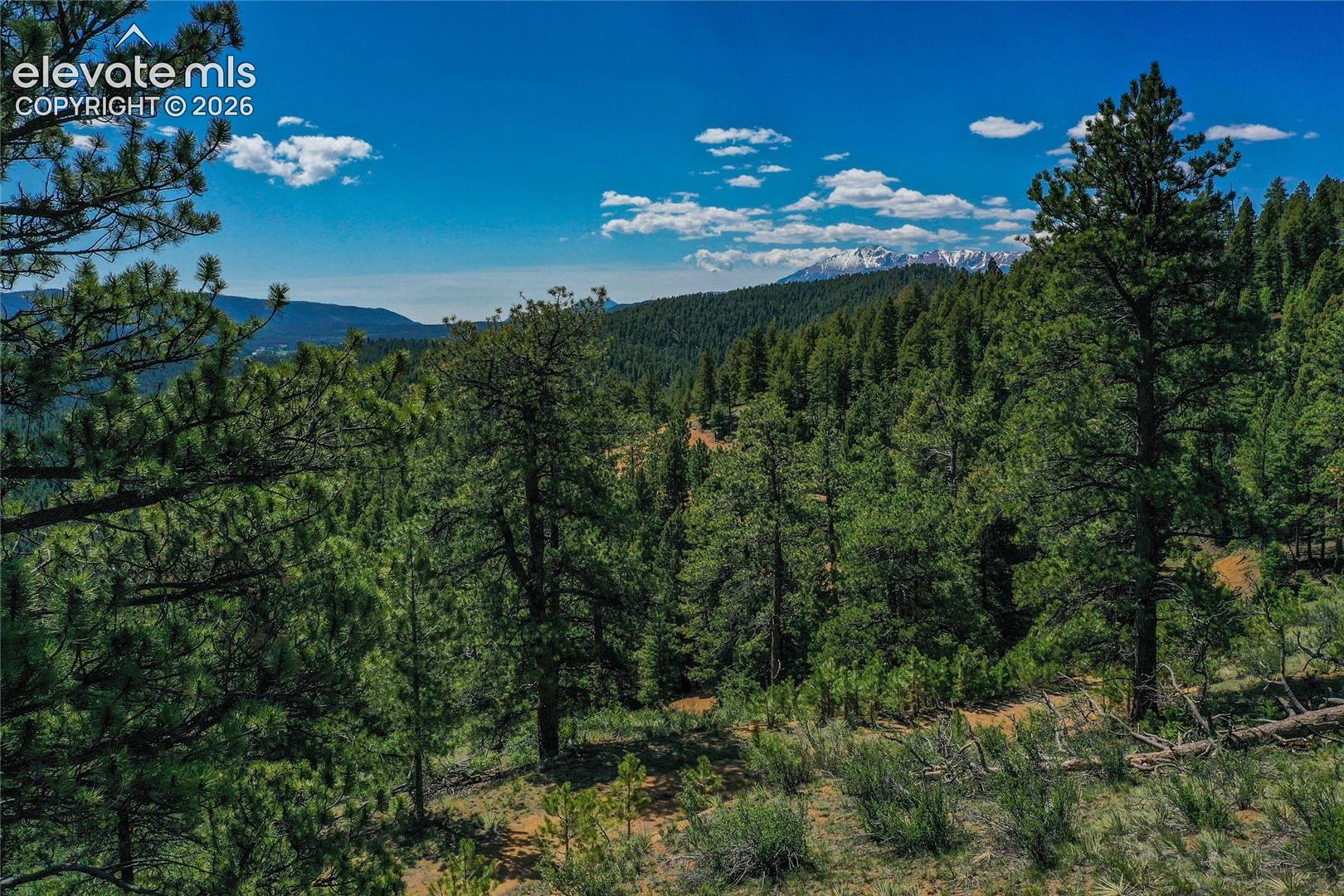 29545 Highway 67