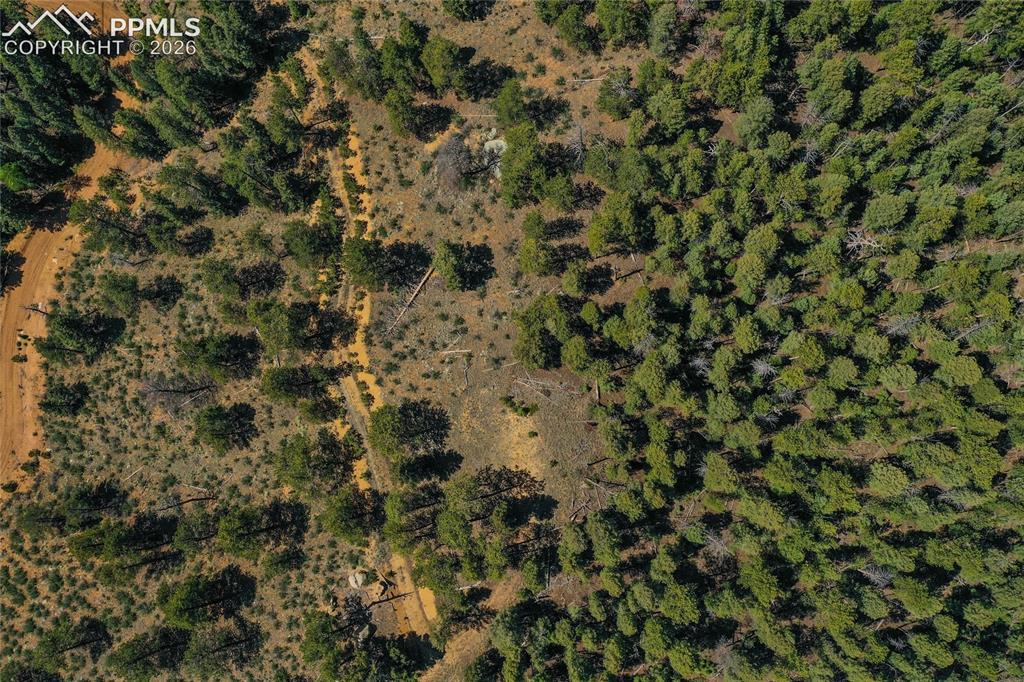 29545 Highway 67