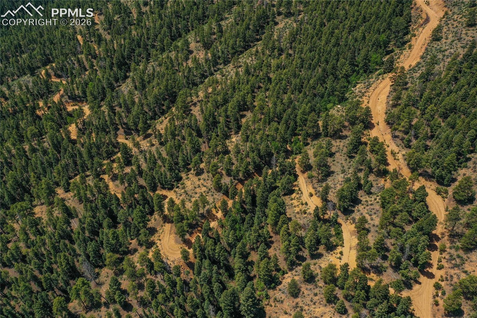 29545 Highway 67