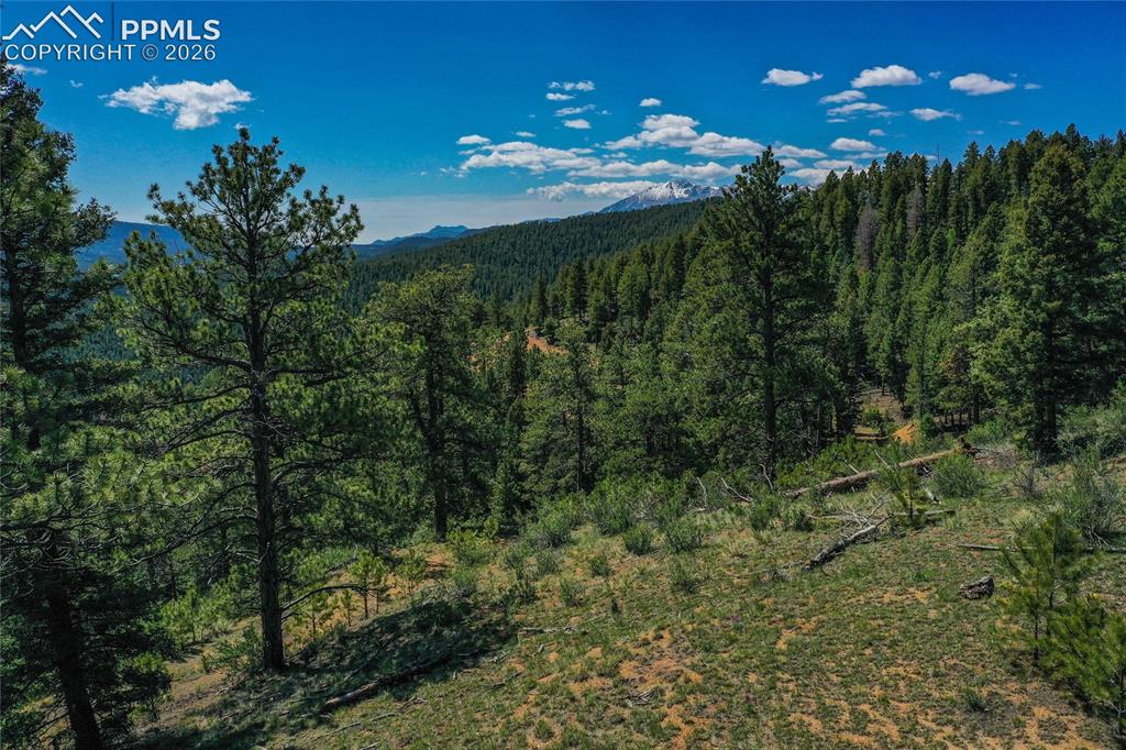 29545 Highway 67