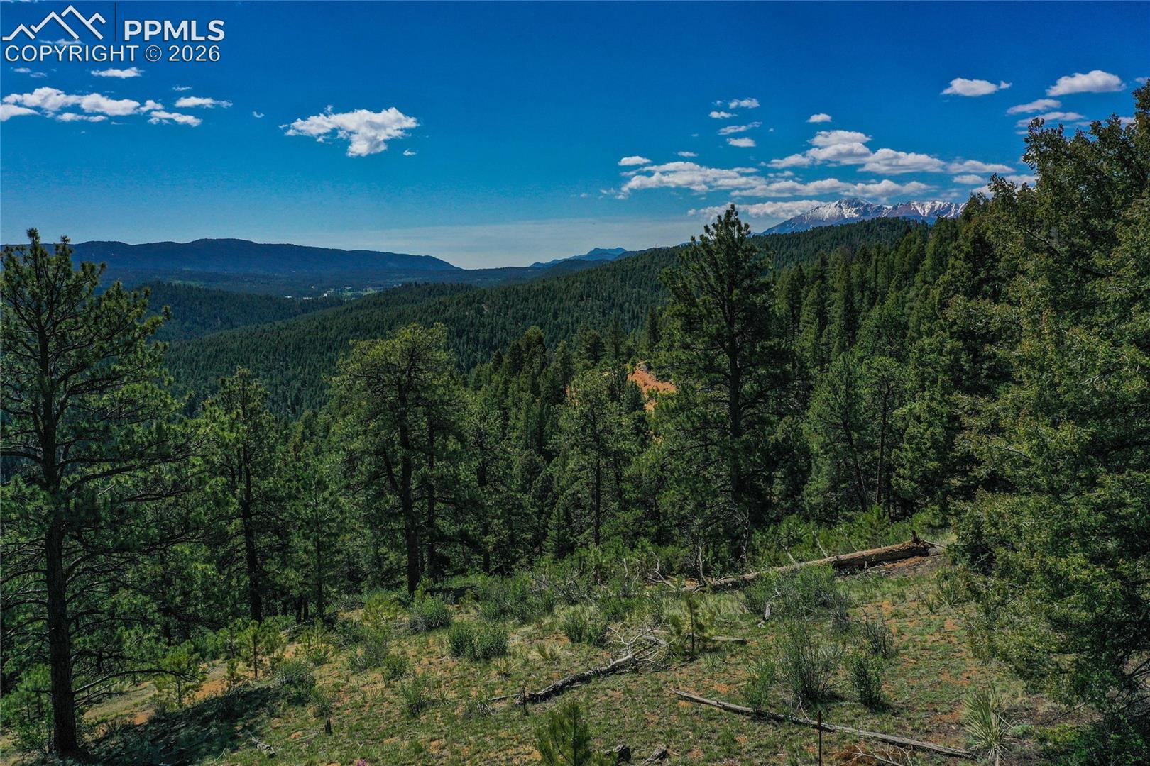 29545 Highway 67