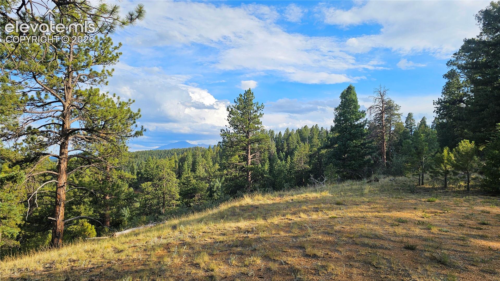 29545 Highway 67