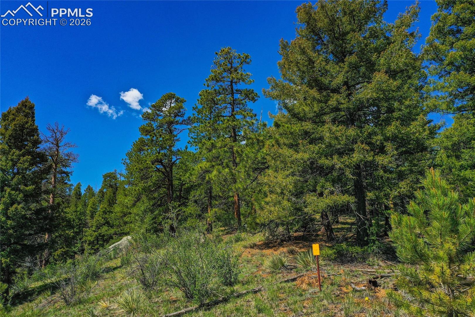 29545 Highway 67