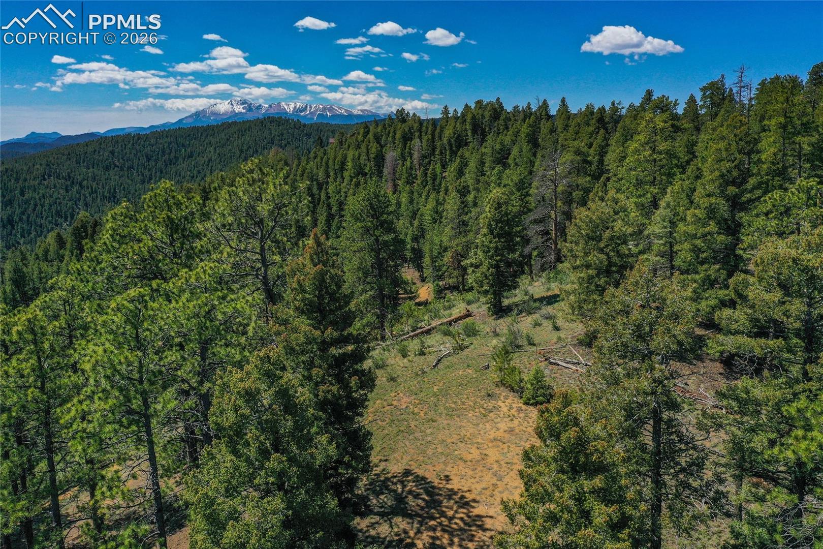 29545 Highway 67