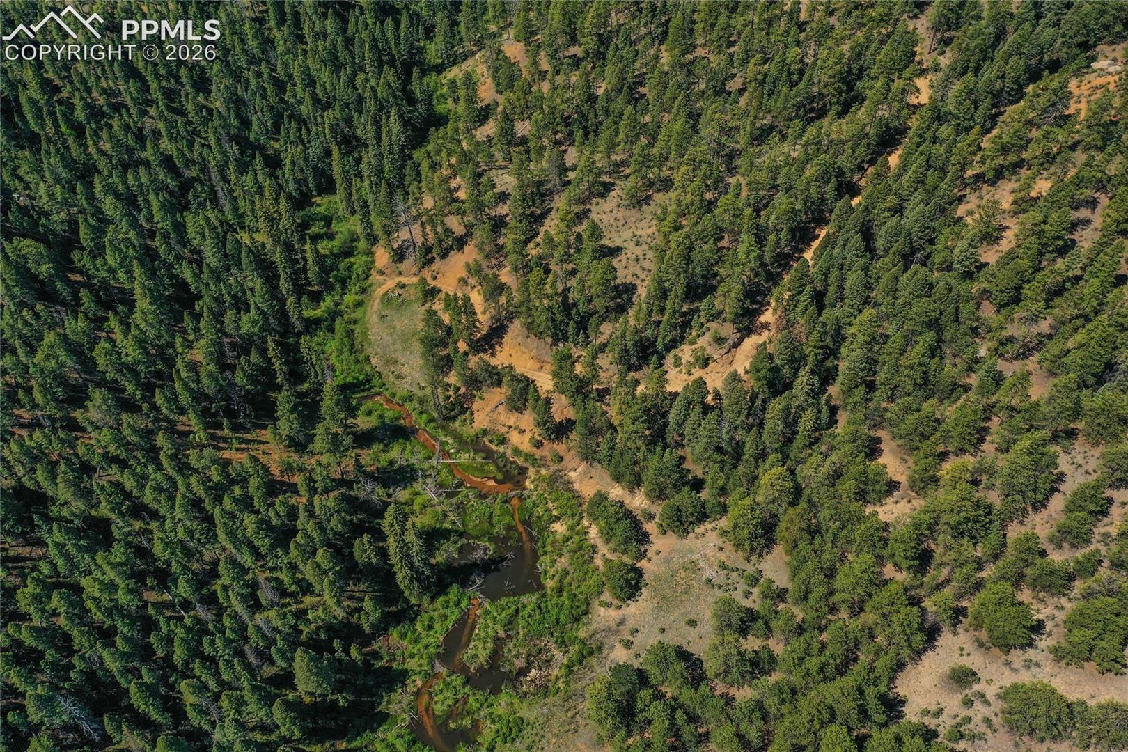 29545 Highway 67