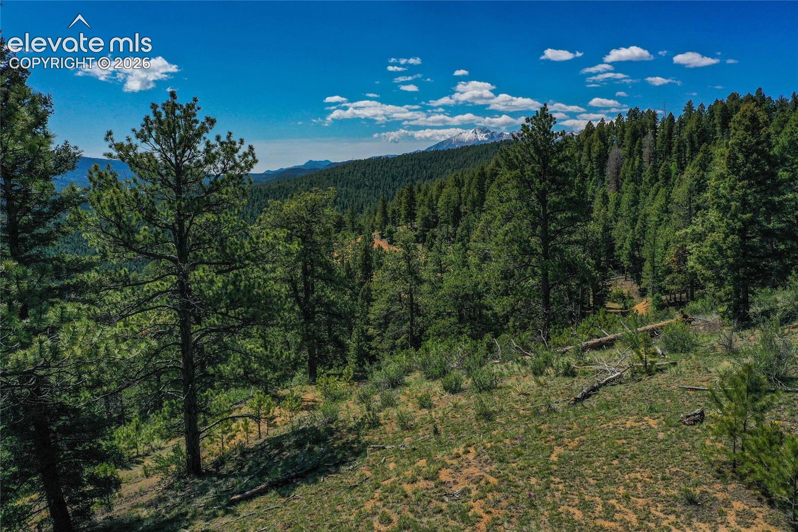 29545 Highway 67