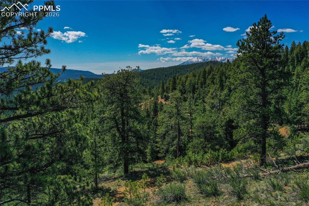 29545 Highway 67