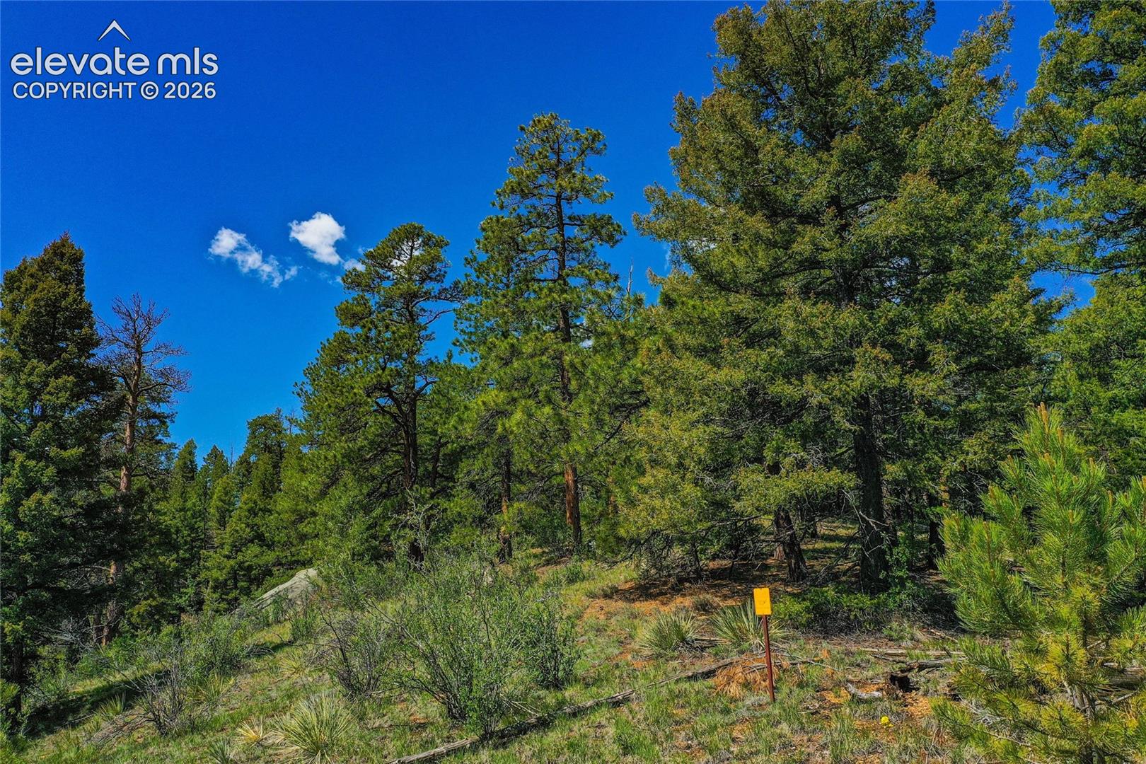 29545 Highway 67