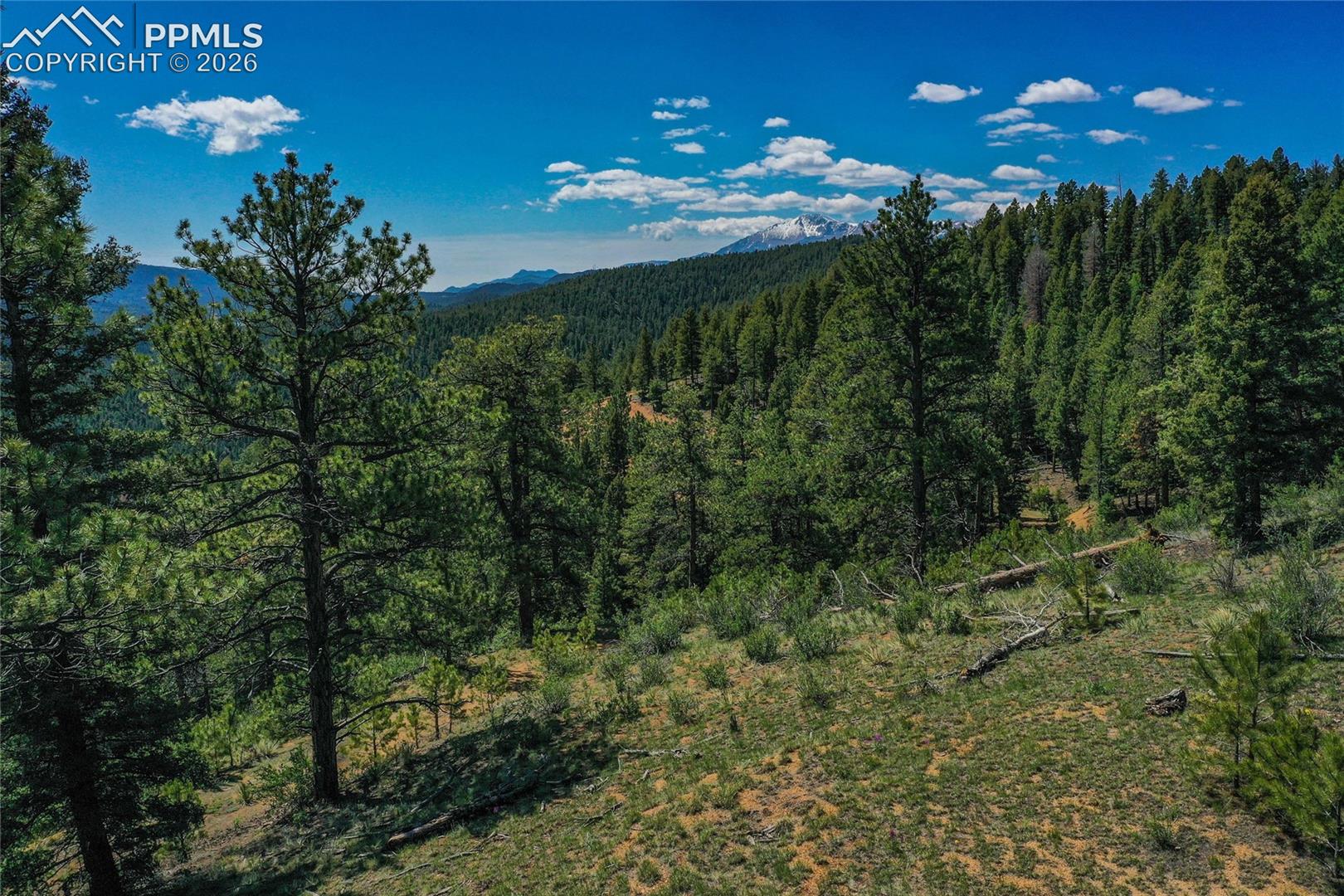 29545 Highway 67