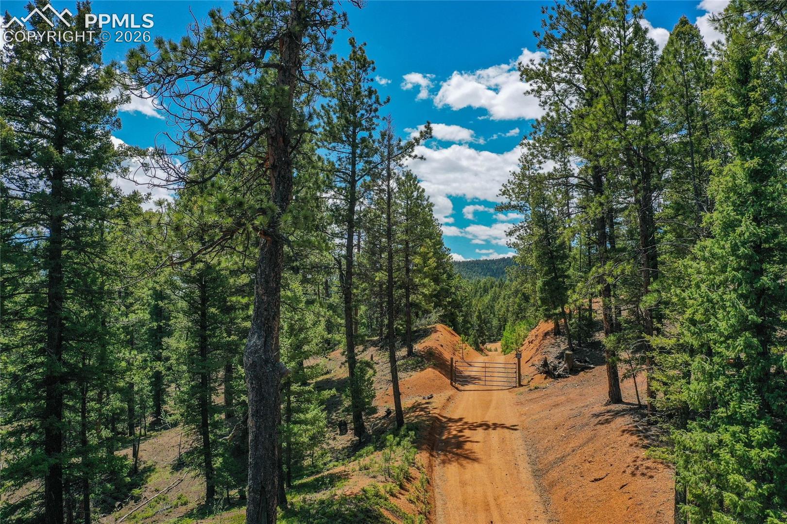 29545 Highway 67