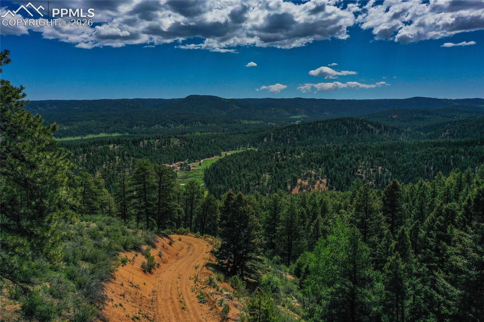 29545 Highway 67