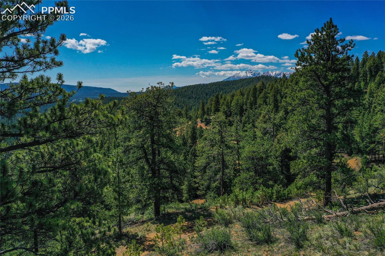 29545 Highway 67